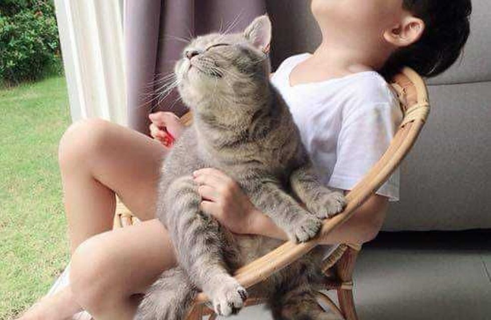 20 Photos Qui Prouvent Que Votre Enfant Doit Vivre Avec Un Chat