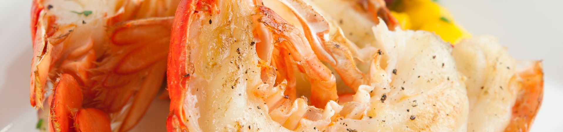 Nos recettes de homard pour Noël Nos recettes de homard pour Noël