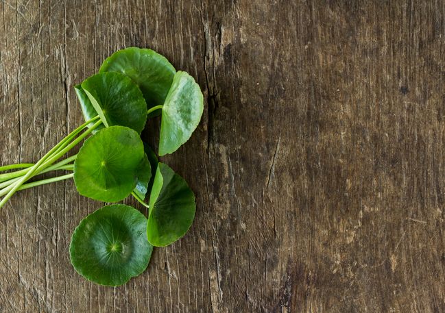 Como tomar pastillas de centella asiatica para adelgazar