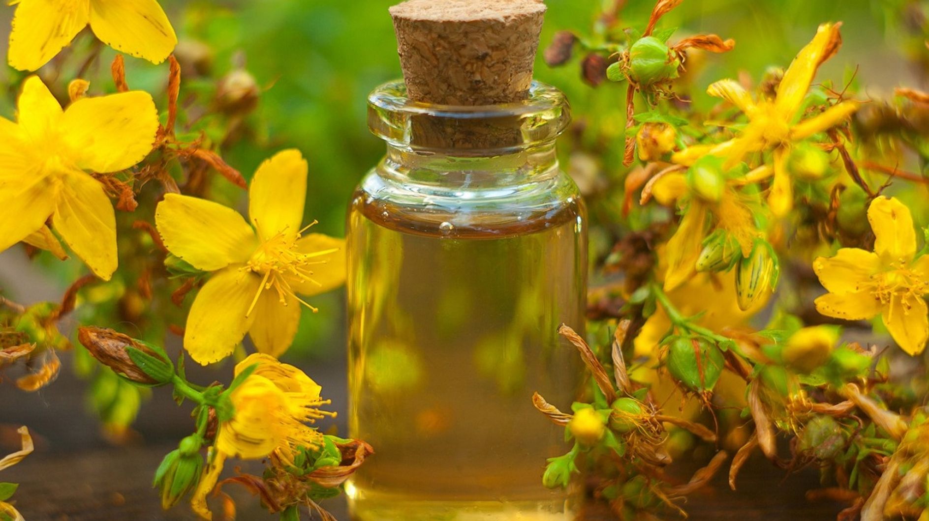 Olio di iperico: usi e proprietà benefiche