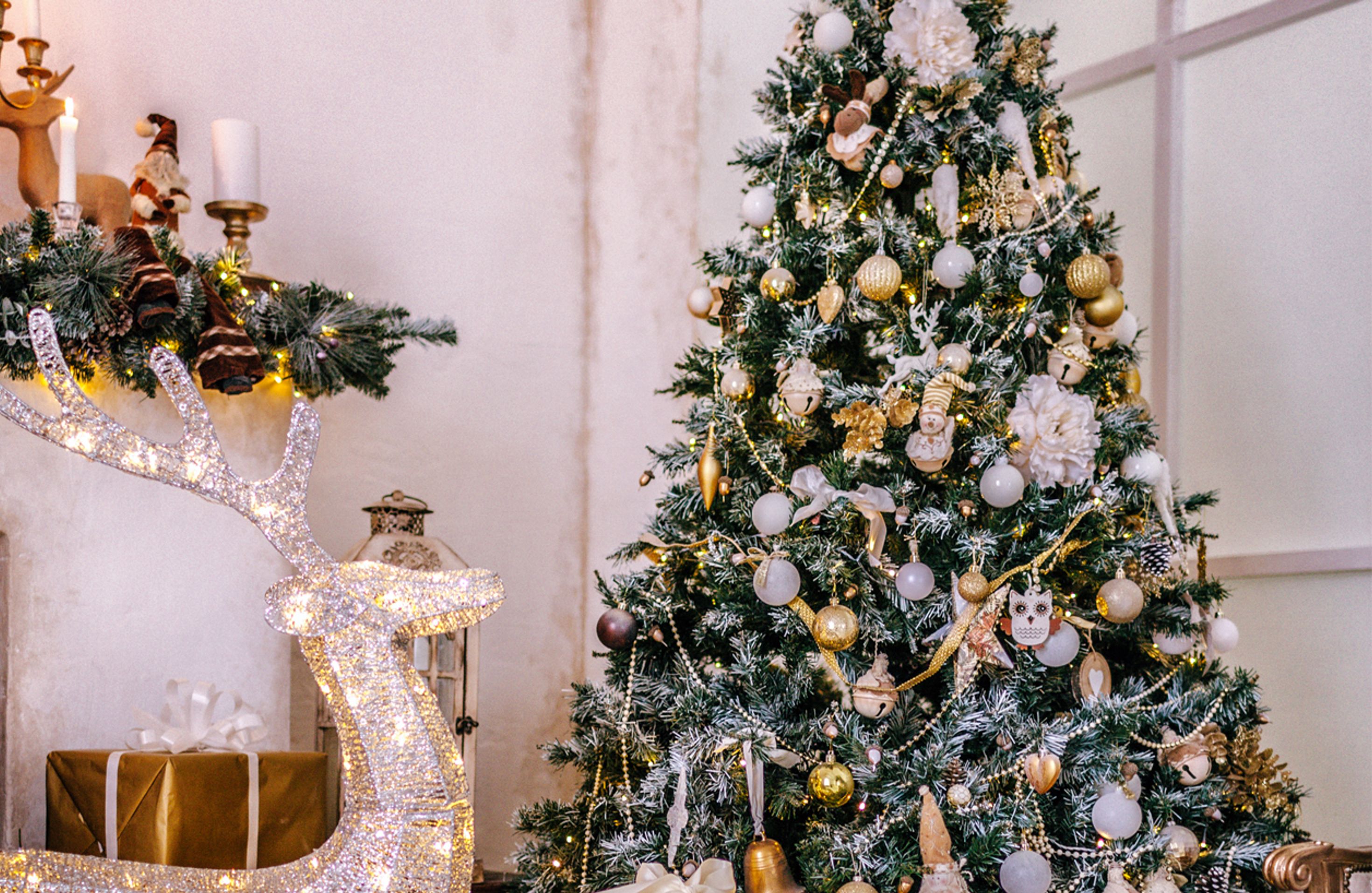 Weihnachtsbaum schmücken: Die schönsten Ideen fürs Fest