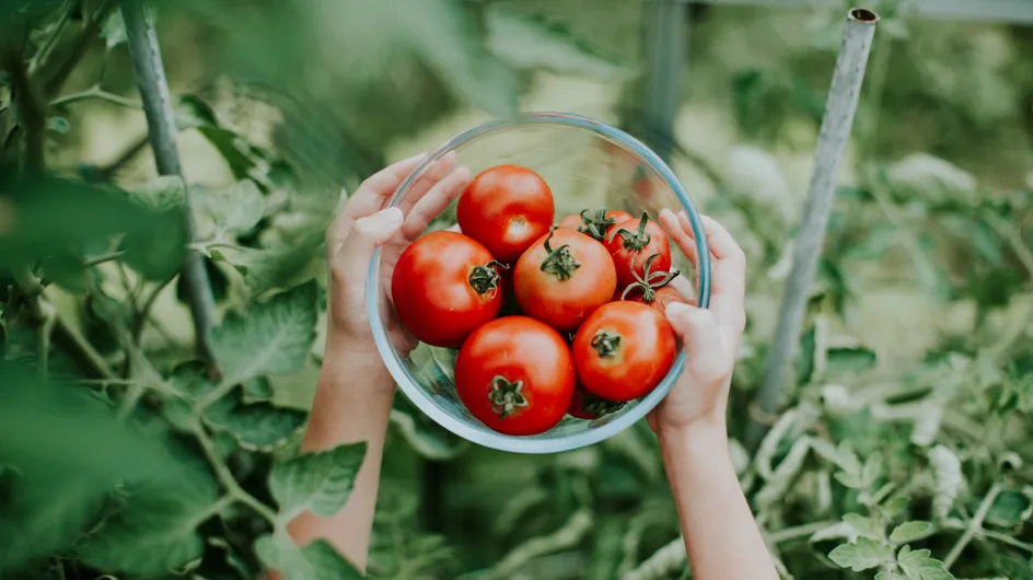 El tomate, un gran desconocido: estas son todas sus propiedades
