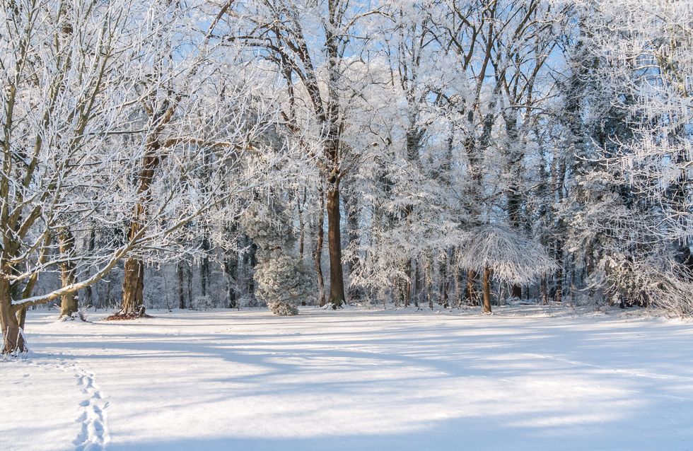 Sognare La Neve Significato E Varie Interpretazioni