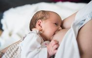 Developpement Activites Alimentation Du Bebe A 15 Mois