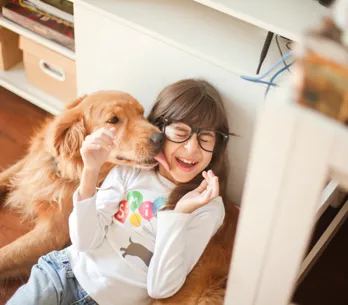 Las mejores razas de perro para vivir en familia