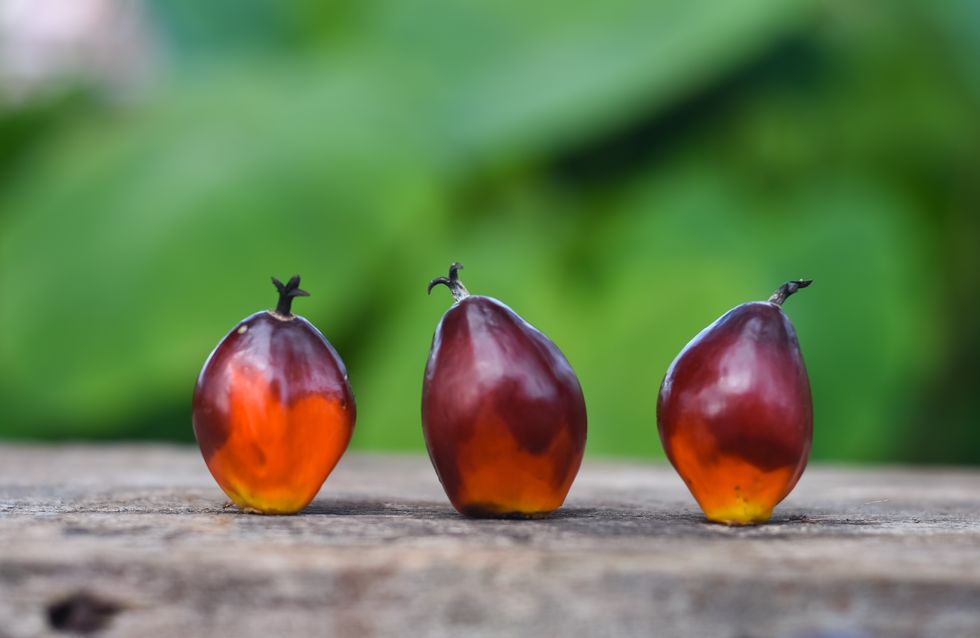 Esto es lo que provoca en tu organismo el consumo de aceite de palma