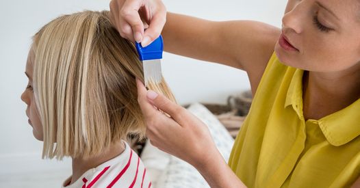 Come Eliminare I Pidocchi Tutti I Rimedi Piu Efficaci