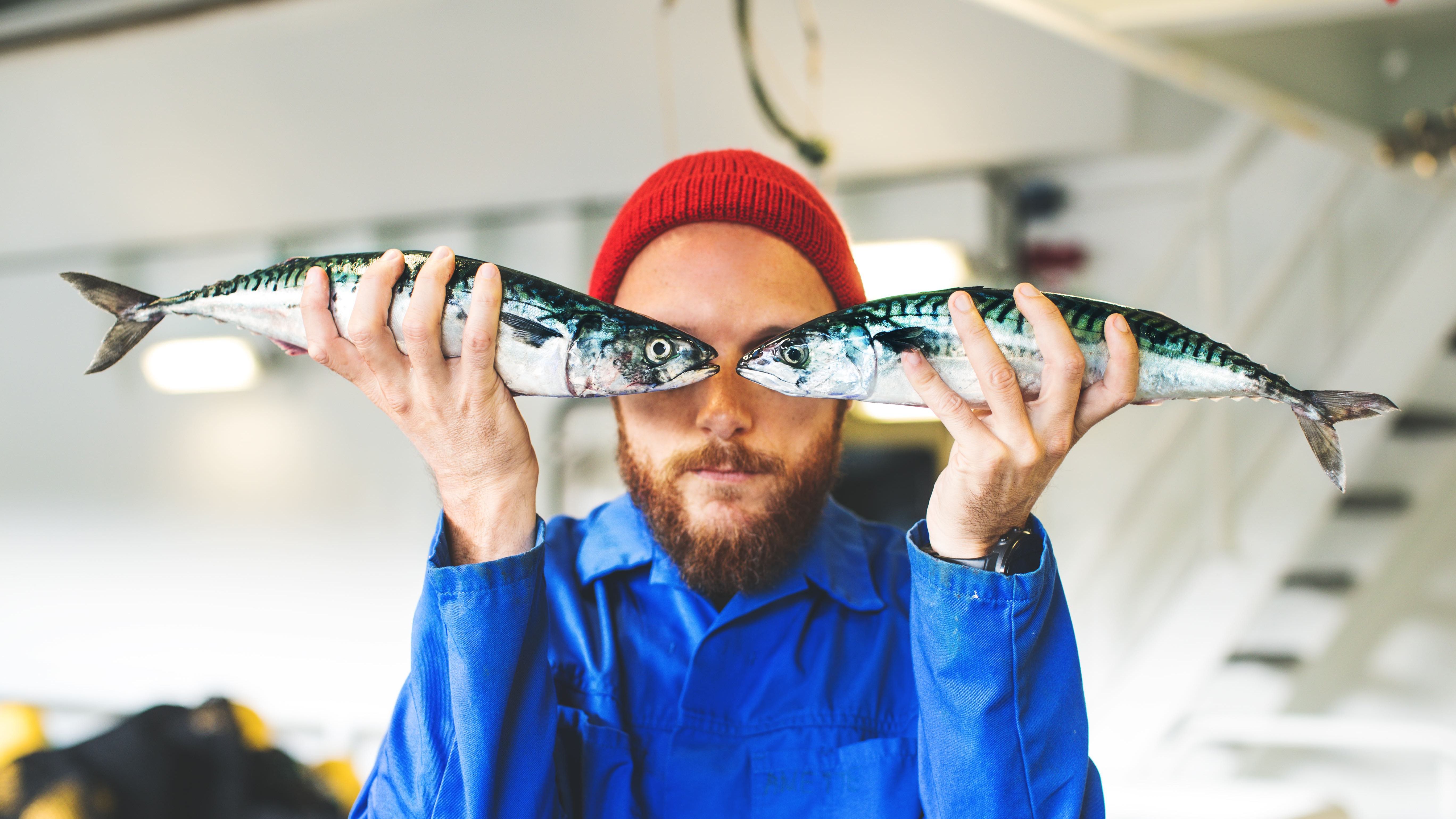 Pêche durable : comment consommer du poisson de manière responsable ?