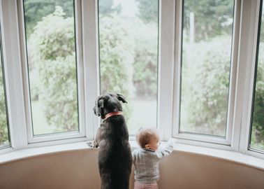 En Bretagne Un Bebe Tombe Par La Fenetre Du 3eme Etage En Bretagne Un Bebe Tombe Par La Fenetre Du 3eme Etage