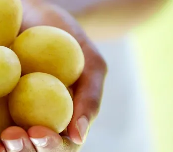 Consejos para conservar las patatas y almacenarlas más tiempo