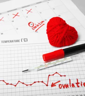 La contracepción natural: ¿conoces todos los métodos para evitar el embarazo?