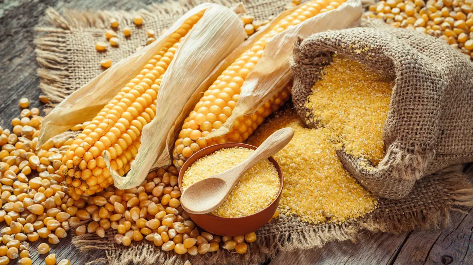 Diferencia entre almidón, harina de maíz y maizena, ¿sabes distinguirlas?
