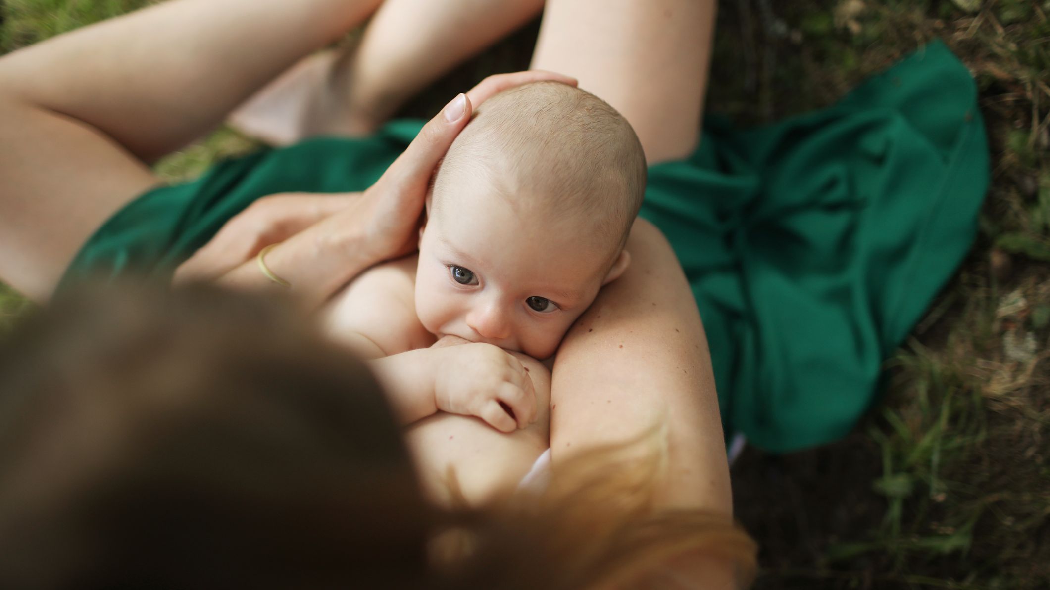 Tout savoir sur le colostrum, le premier lait maternel