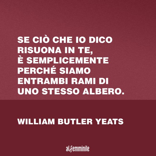 Frasi Sull Empatia Quando Si Vivono Le Emozioni Altrui