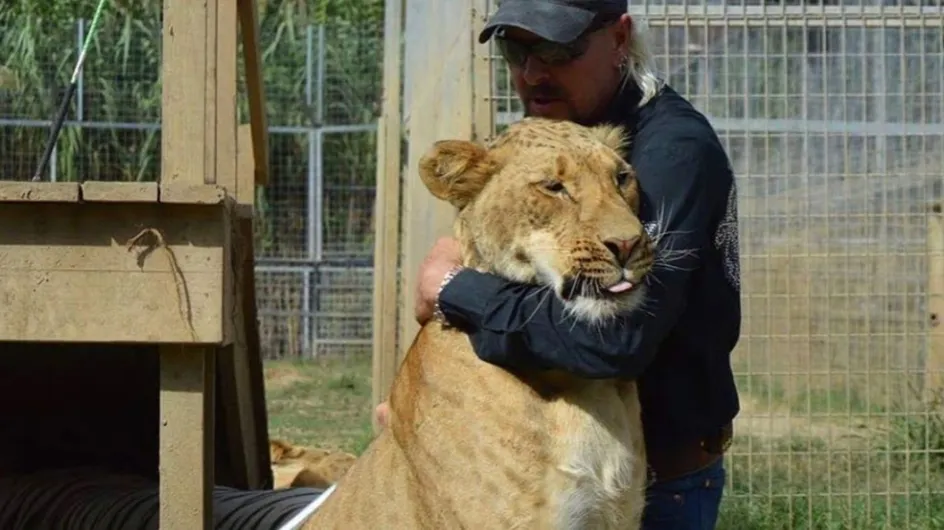Des lions sont infectés d'asticots et de mouches dans le zoo de "Tiger King"