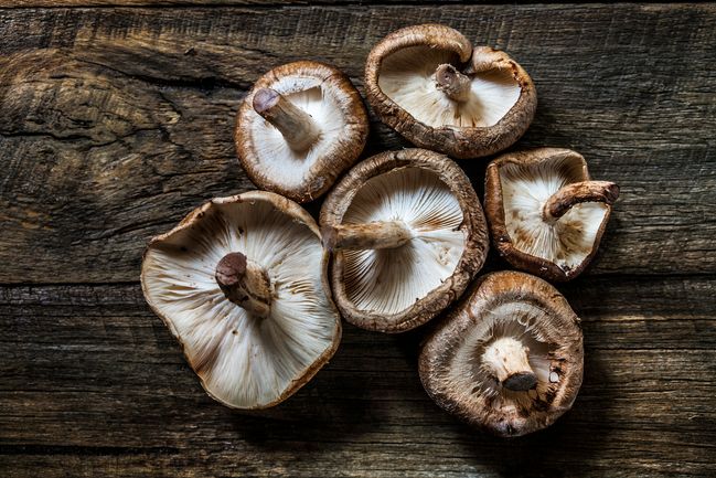 Funghi In Gravidanza Si Possono Mangiare