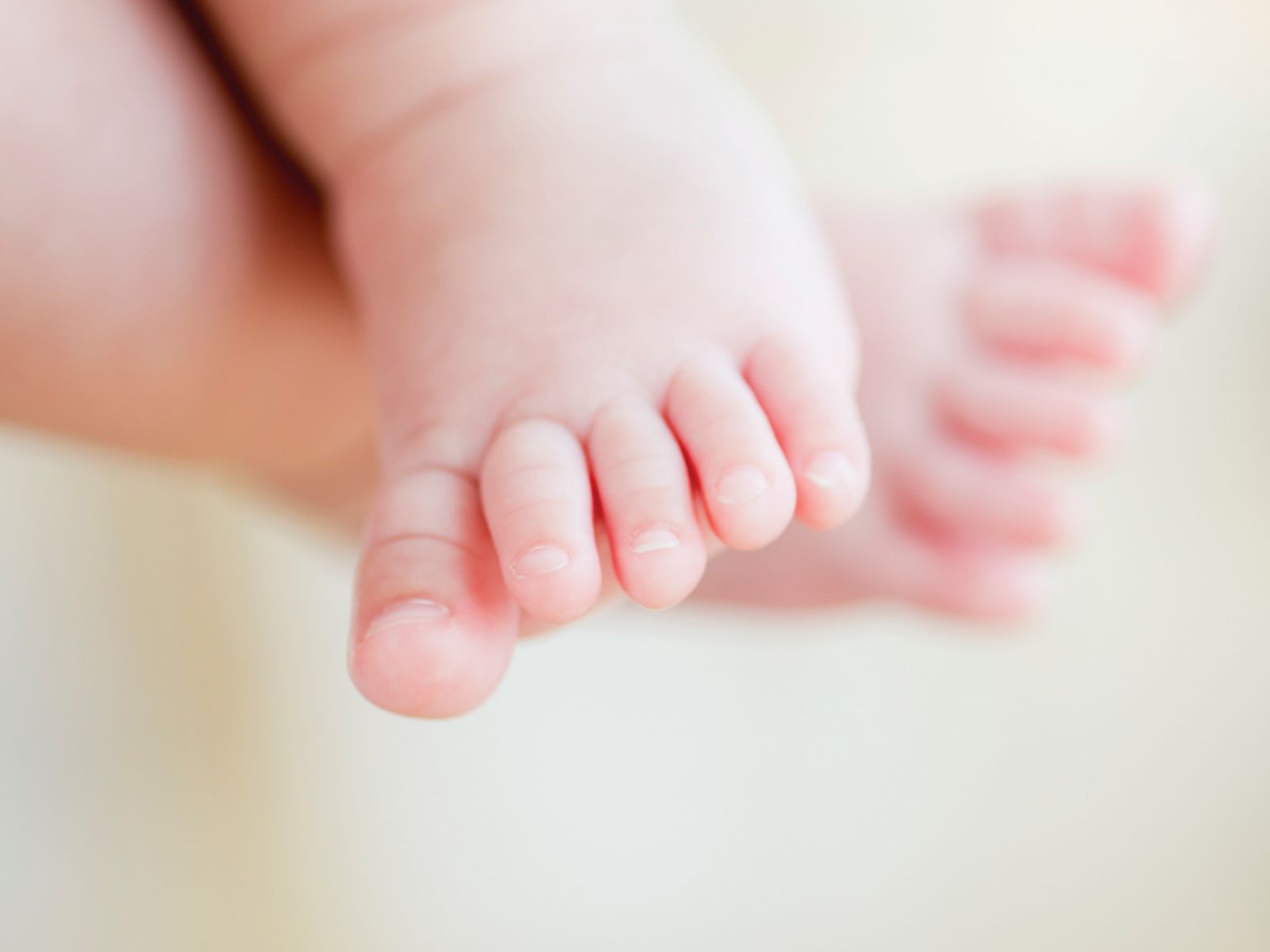 Un Bebe Abandonne Dans Un Carton Devant Une Maison