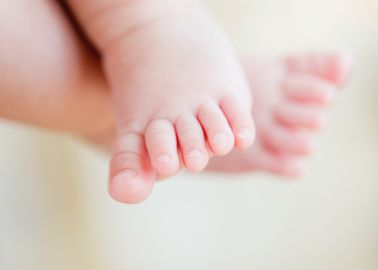 Un Bebe Abandonne Dans Un Carton Devant Une Maison