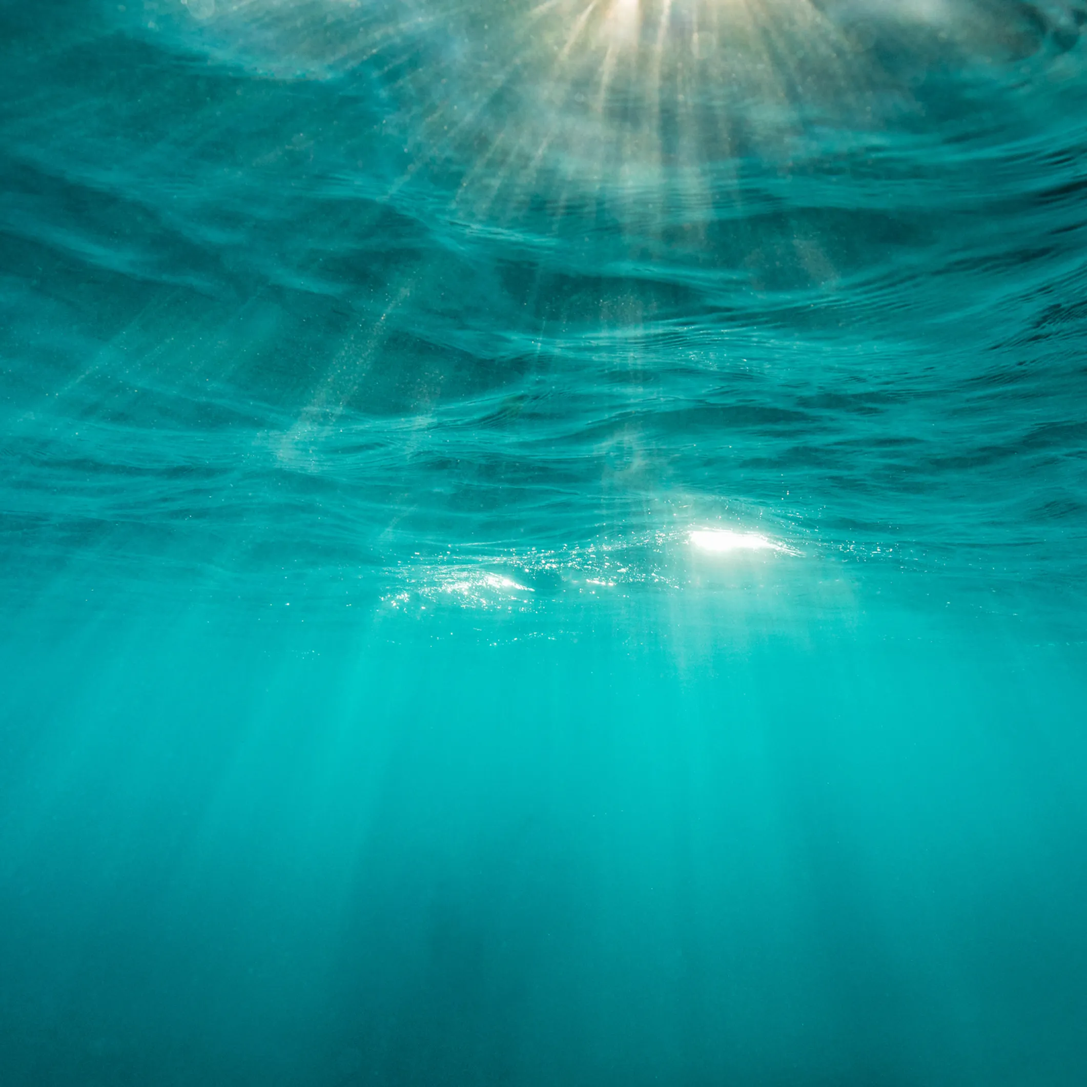 Sognare Il Mare Significato E Interpretazioni