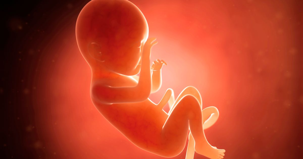 Liquide amniotique Tout ce que vous avez besoin de savoir