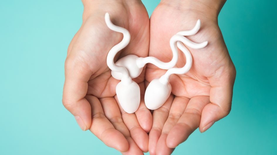 Spermien im Check: Warum die Kleinsten die größten haben