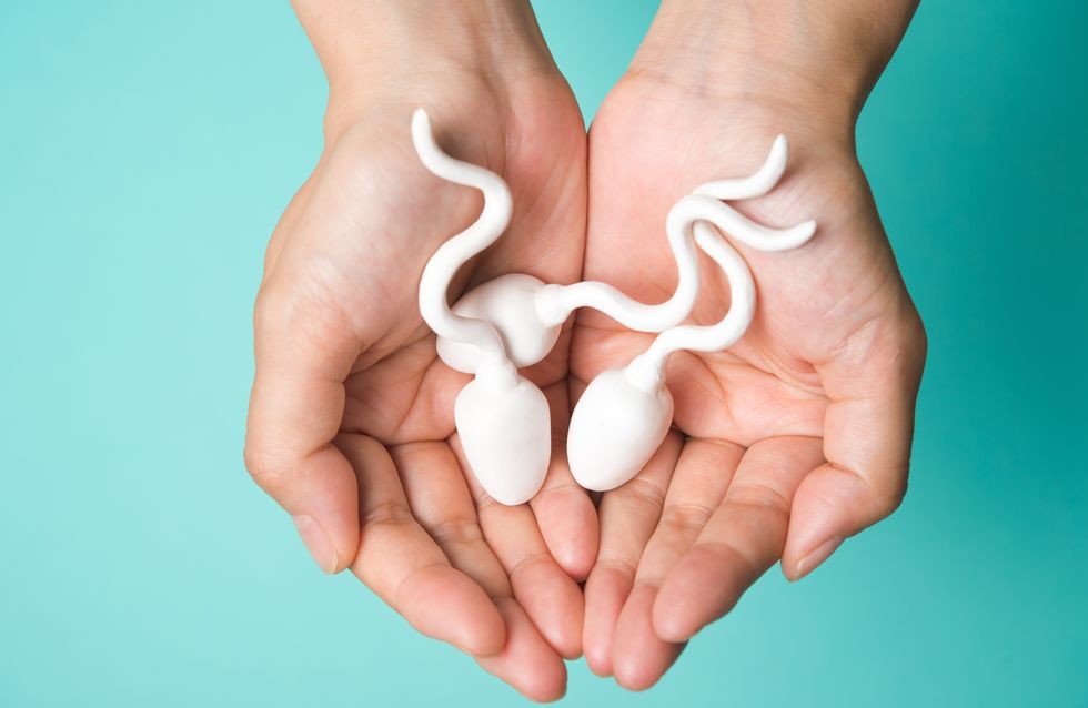 Spermien im Check: Warum die Kleinsten die größten haben