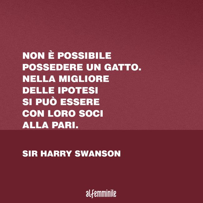 Aforismi Sui Regali Di Natale.Frasi Sui Gatti Le Citazioni Piu Belle E Divertenti