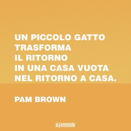 Frasi Sui Gatti Le Citazioni Piu Belle E Divertenti