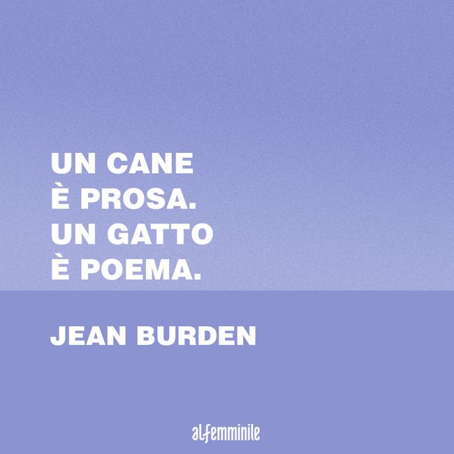 Frasi Sui Gatti Le Citazioni Piu Belle E Divertenti