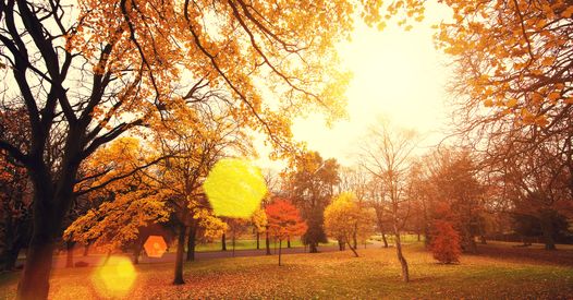 15 Poesie Sull Autunno Per Celebrare La Stagione Del Foliage