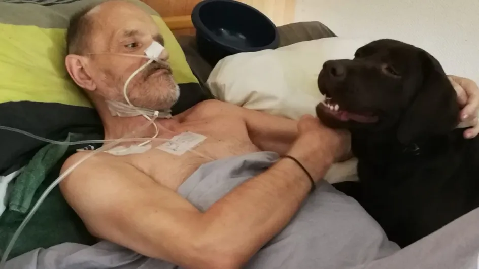 Fin de vie : Alain Cocq a accepté d’être hospitalisé après des jours d'agonie