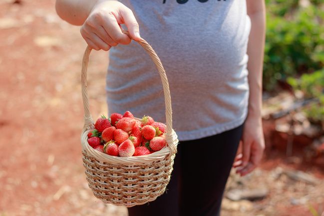 Fragole In Gravidanza Se Sei Incinta Puoi Mangiarle O No