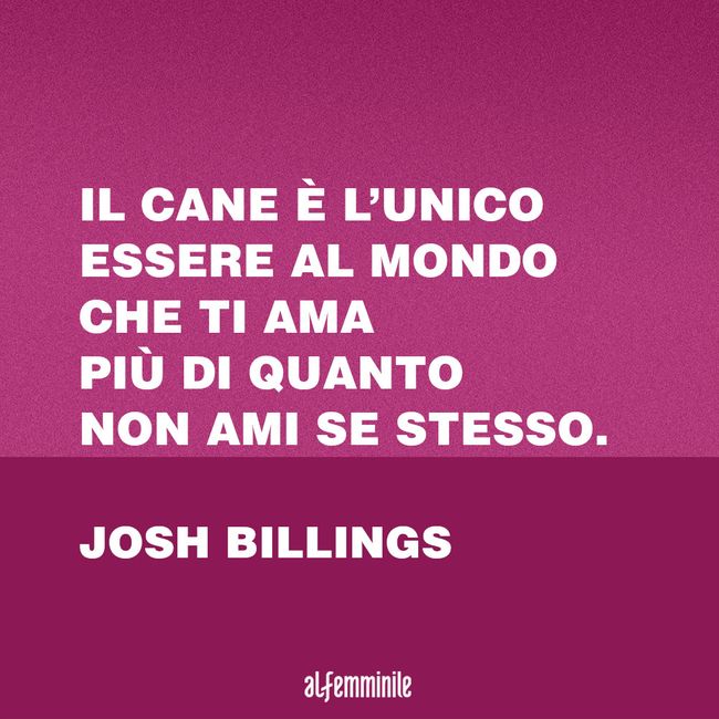 Frasi Sui Cani Gli Aforismi Sul Migliore Amico Dell Uomo