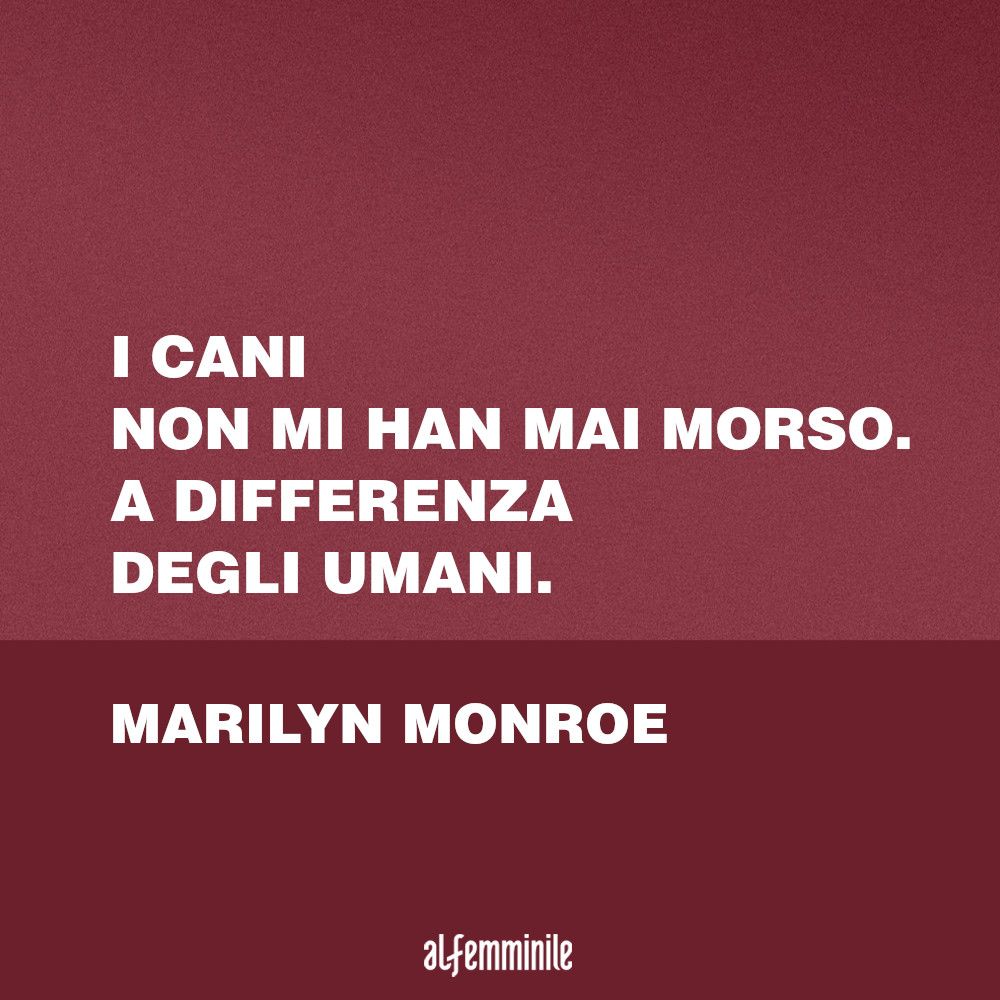 Frasi Sui Cani Le Citazioni Piu Belle Sul Migliore Amico Dell Uomo Musanews