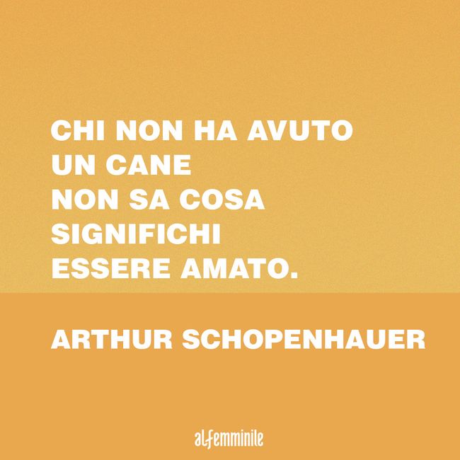 Frasi Sui Cani Gli Aforismi Sul Migliore Amico Dell Uomo