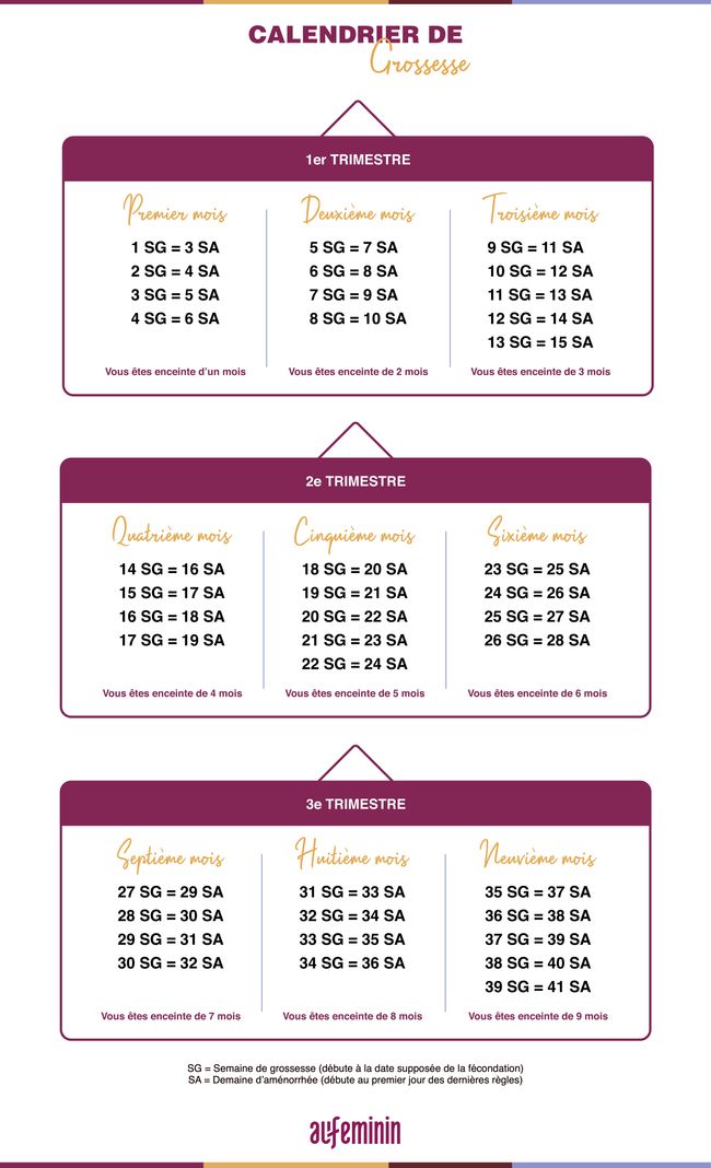 Semaine D Amenorrhee Semaine De Grossesse Quelle Difference