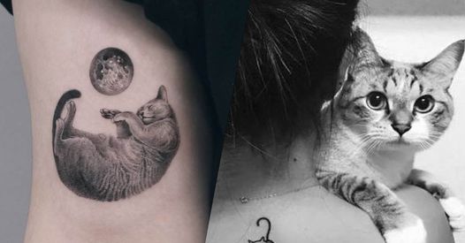 Tatouage Diverses Inspirations Pour Les Amoureux Des Chats