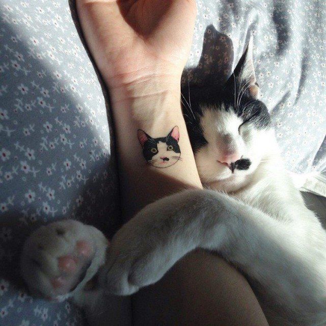 Tatouage Diverses Inspirations Pour Les Amoureux Des Chats