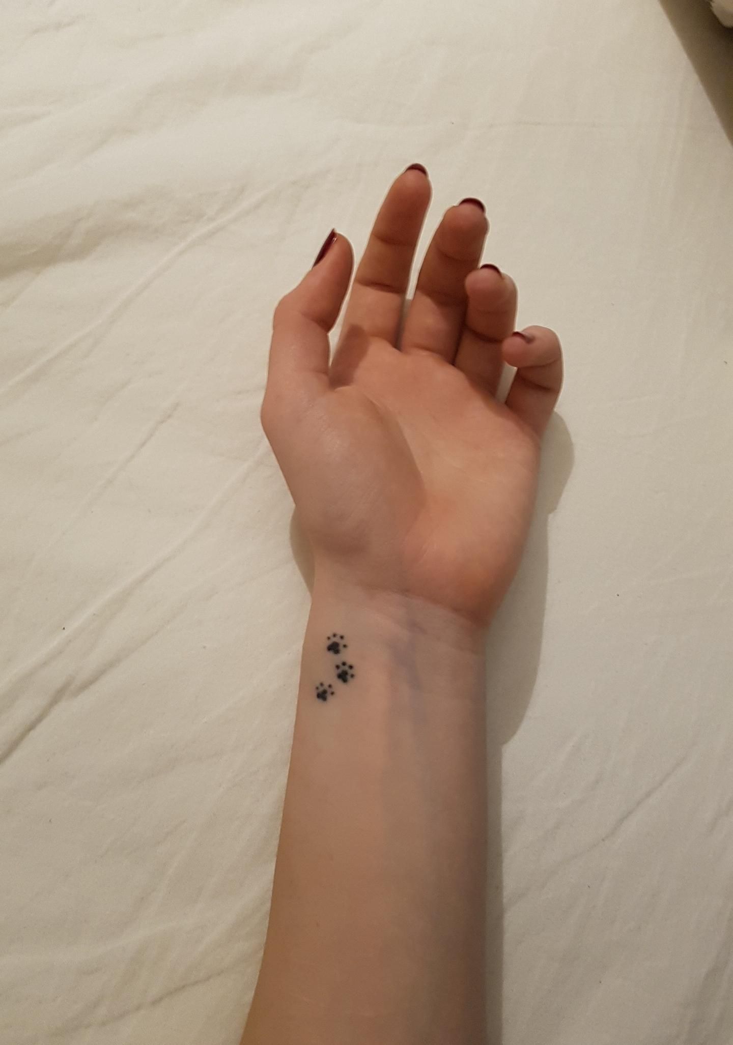 Tatouage Patte De Chat Poignet Tatouage : diverses inspirations pour les amoureux des chats !
