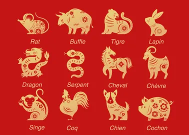 exhaustivo Citar emulsión Signes astro chinois : découvrez comment calculer votre signe