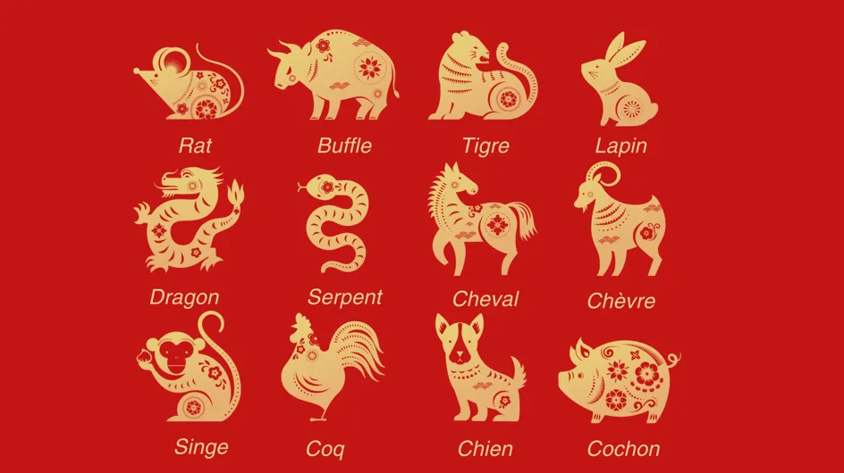 Signes astrologiques chinois : quel animal correspond  à votre personnalité ?