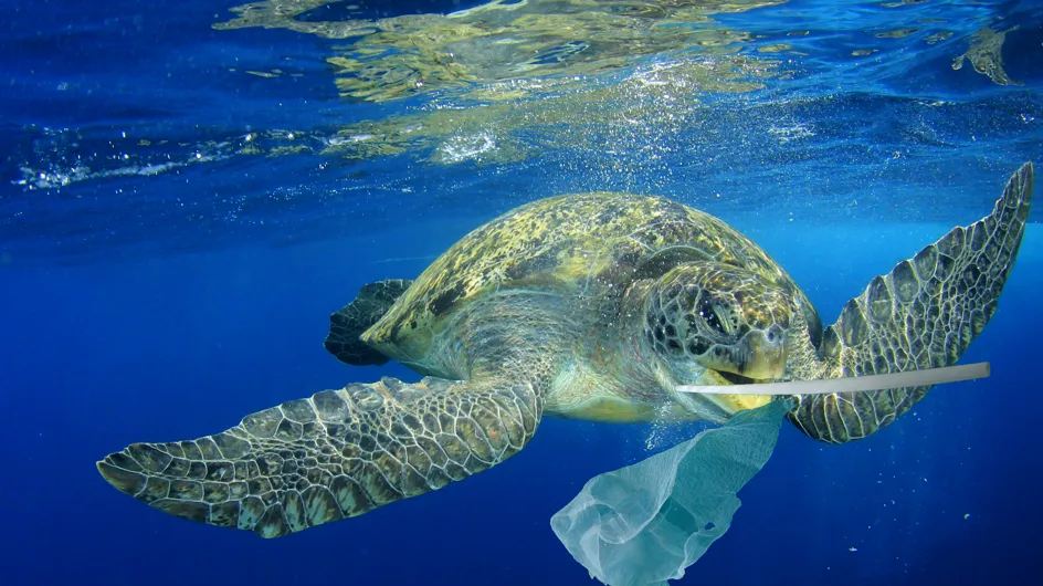 Écologie : Ces objets en plastique sont désormais interdits !