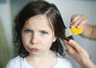 8 Remedes Naturels Anti Poux Pour Les Cheveux De Vos Kids
