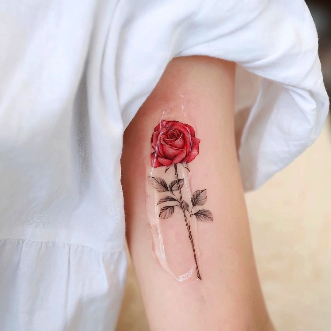 Découvrez quelles sont les 5 fleurs les plus tatouées au monde !