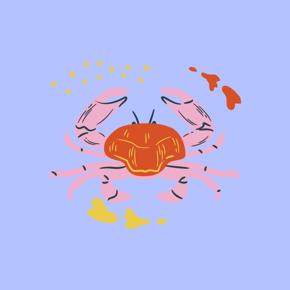 Https Www Aufeminin Com Tendances Ces 7 Tendances Mode Des Annees 2000 Font Leur Grand Retour S4022602 Html Https Assets Afcdn Com Story 20210226 2109958 Origin Jpg Https Assets Afcdn Com Story 20210226 2109960 Origin Jpg Https Assets