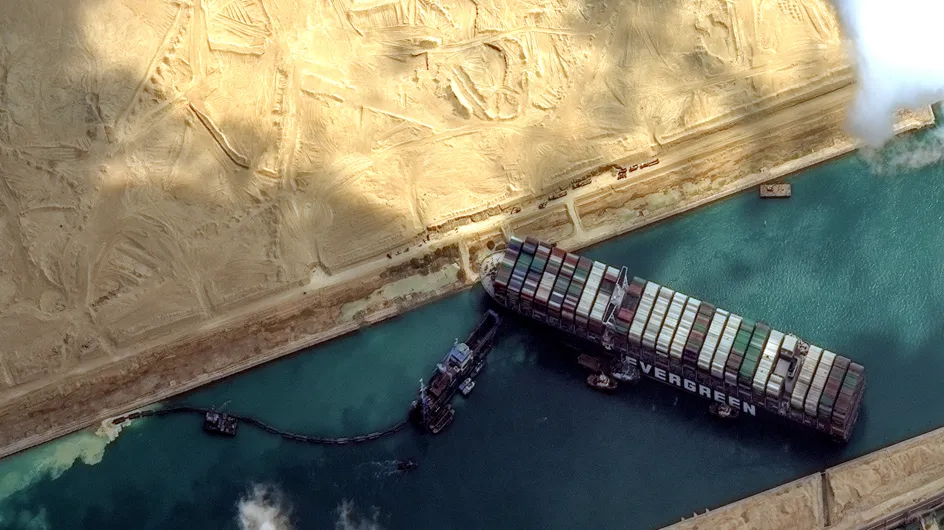 Canal de Suez : 130 000 moutons coincés dans des cargos et condamnés à l'agonie