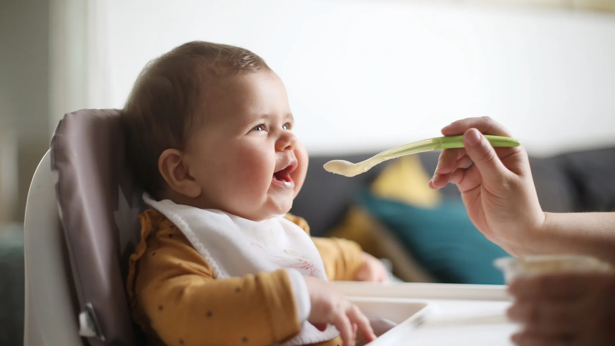 L Alimentation Du Bebe De 6 Mois