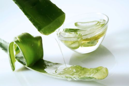 Aloe Vera Creme: Natürliche Pflege für deine Haut