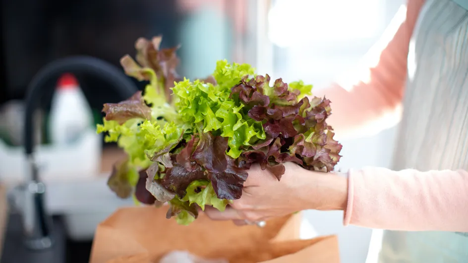 Comment conserver une salade verte ?