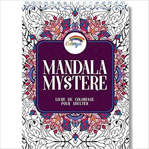 Concentration, méditation, déconnexion Pourquoi le coloriage  s'adresse-t-il autant aux adultes ?